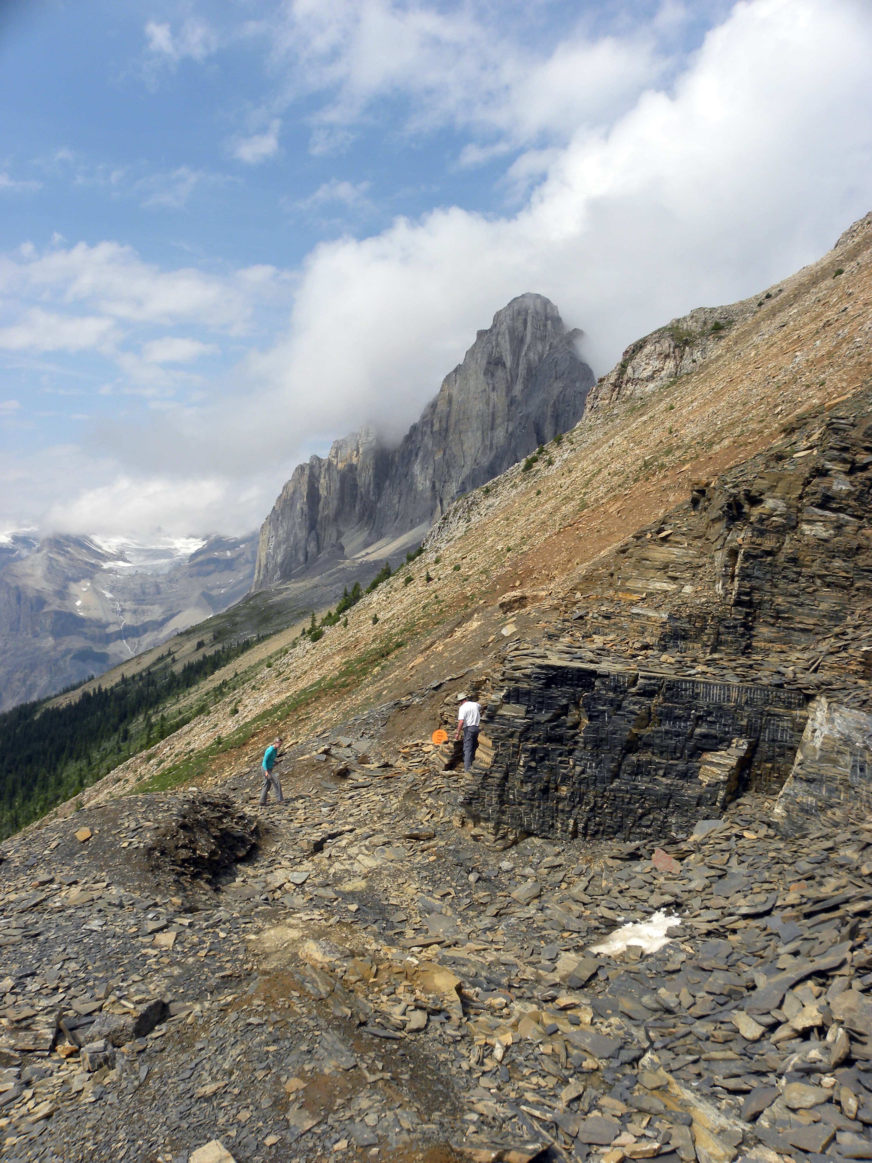 Burgess Shale
